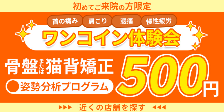 ワンコイン体験会